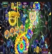 正版官方星力平台